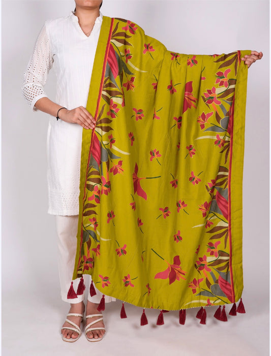 Dupatta Only
